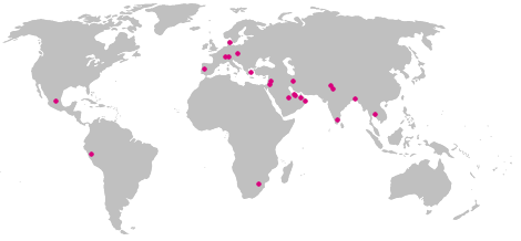 partners worldwide